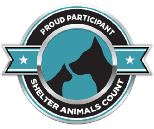 Animal Services Unit | Chesapeake, VA