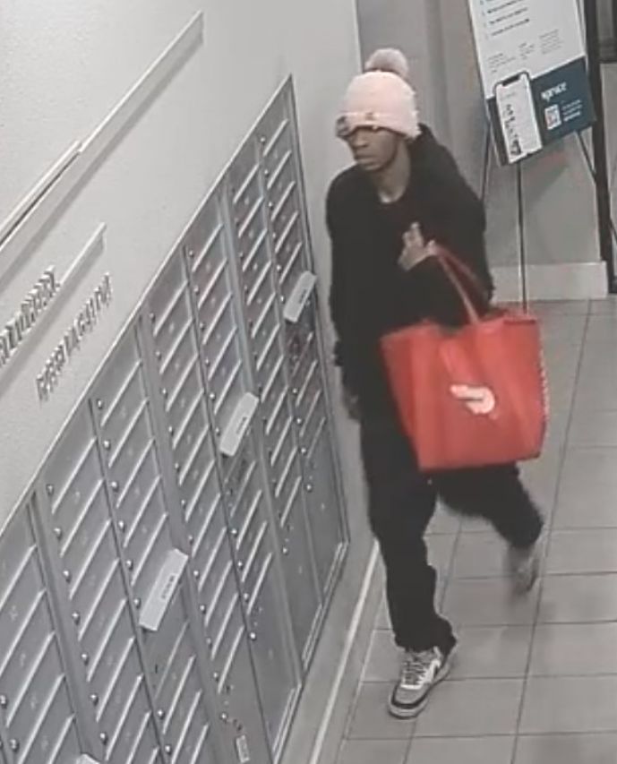 APD Detectives Search for a Suspect in Connection to Mail Theft