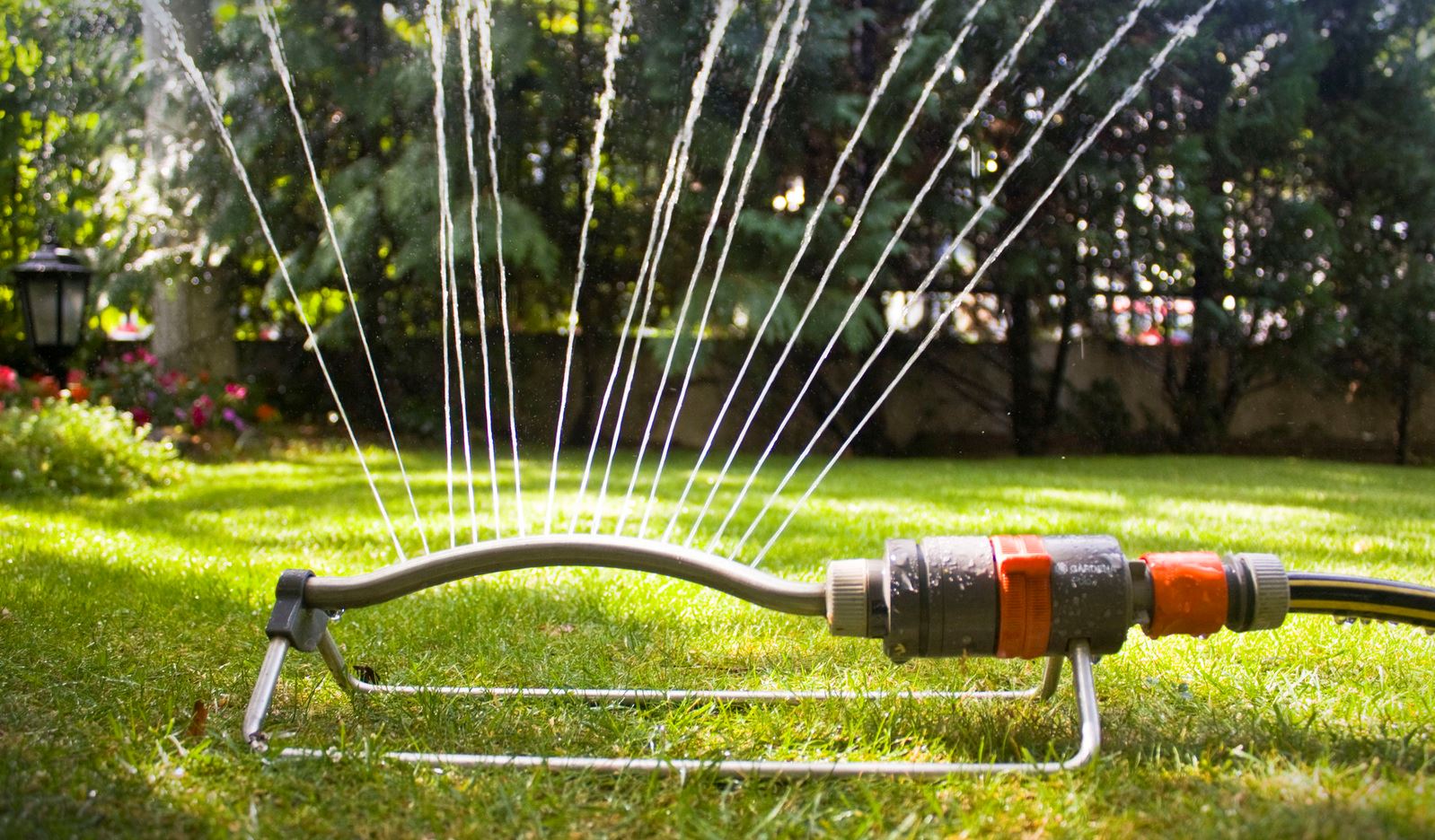 Odd-Even Watering Schedule | Durham, NC