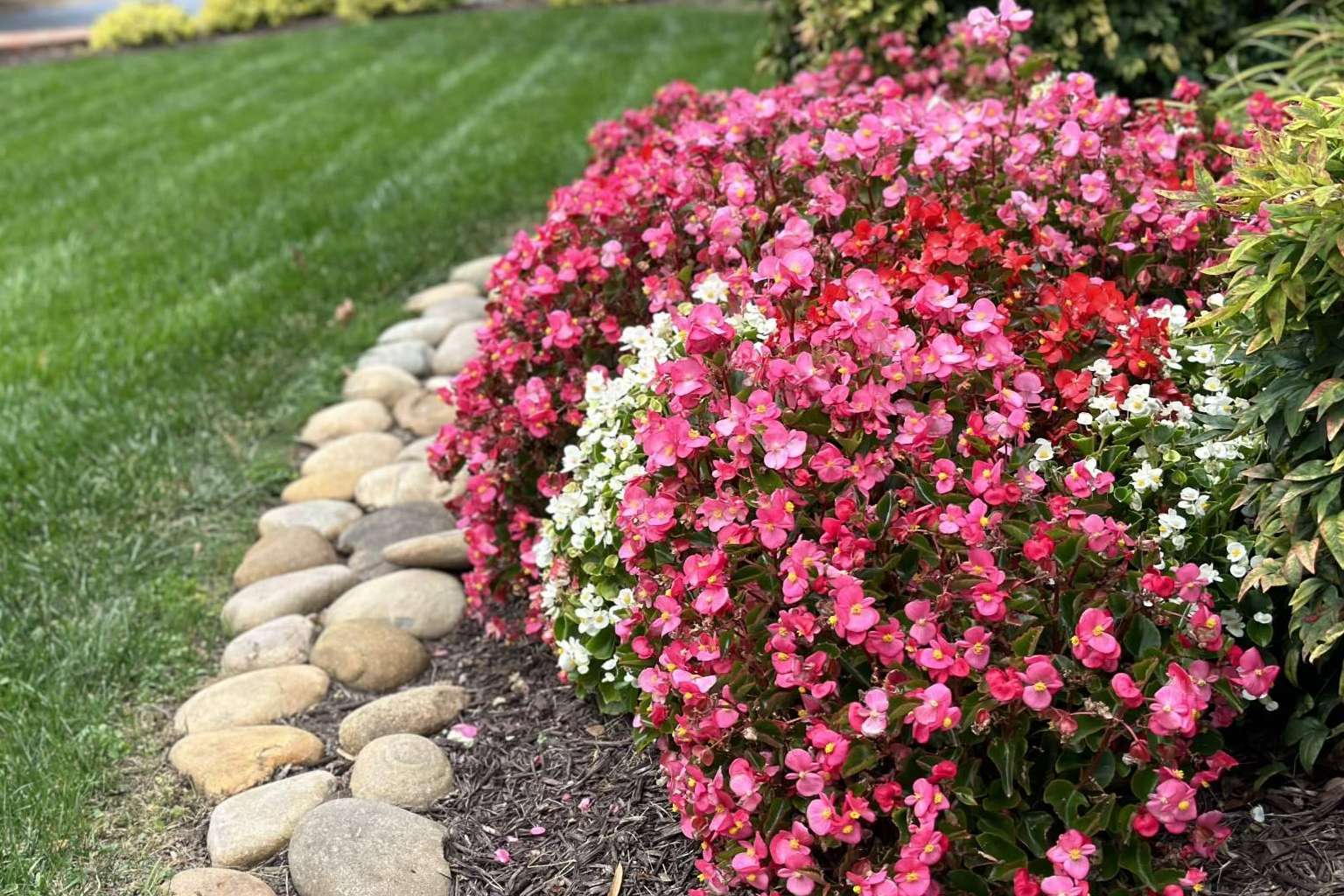 Figueroa Landscape employs an easy method for making online payments and estimates