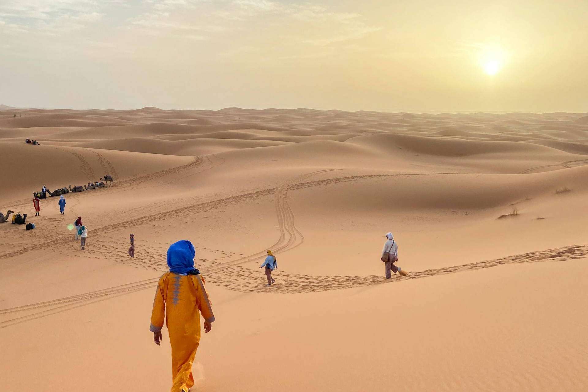 Saharies offers exhilarating desert tours tailored for adventure enthusiasts