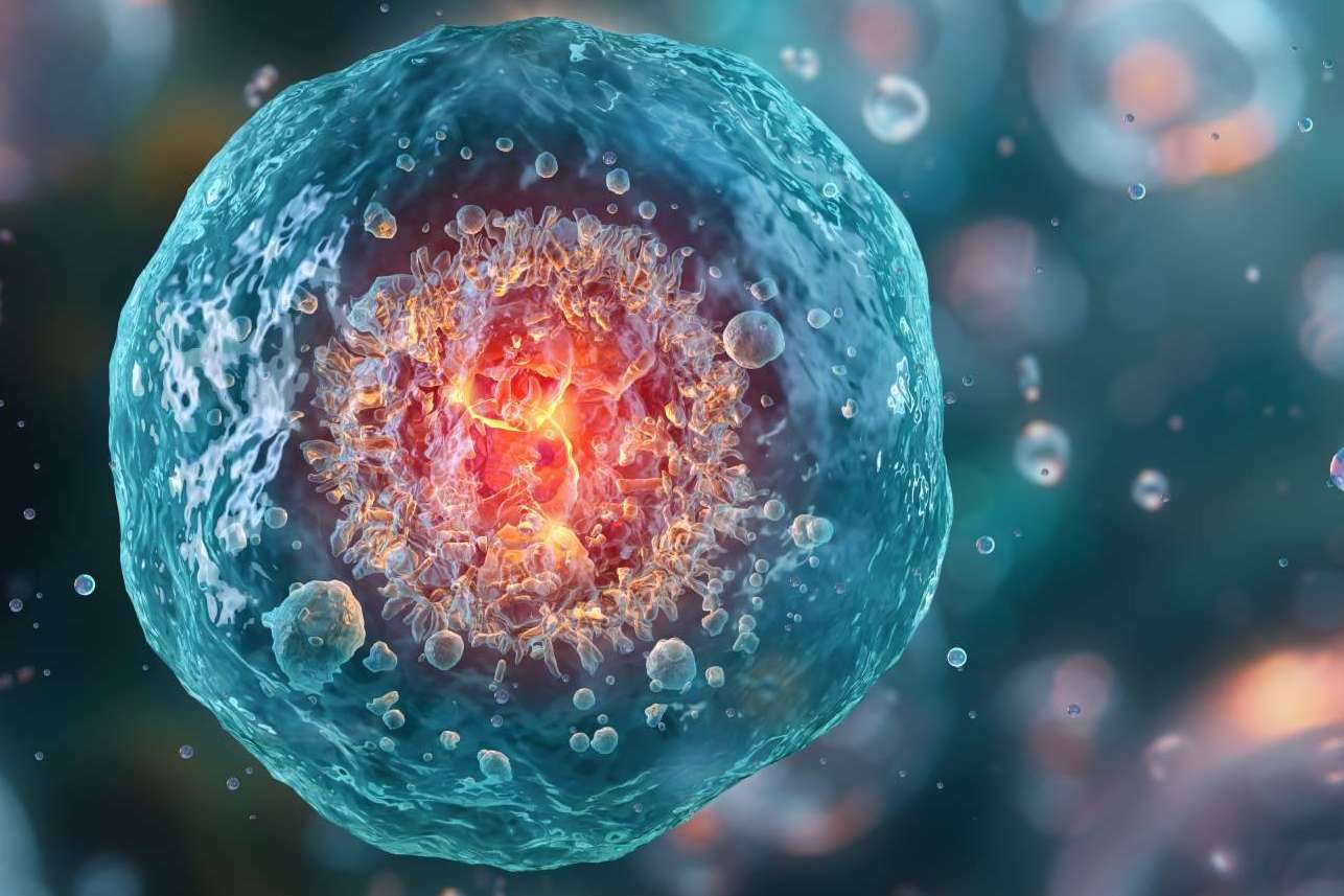 IAH Wellness; precision immunotherapy in the fight against Lyme and its co-infections