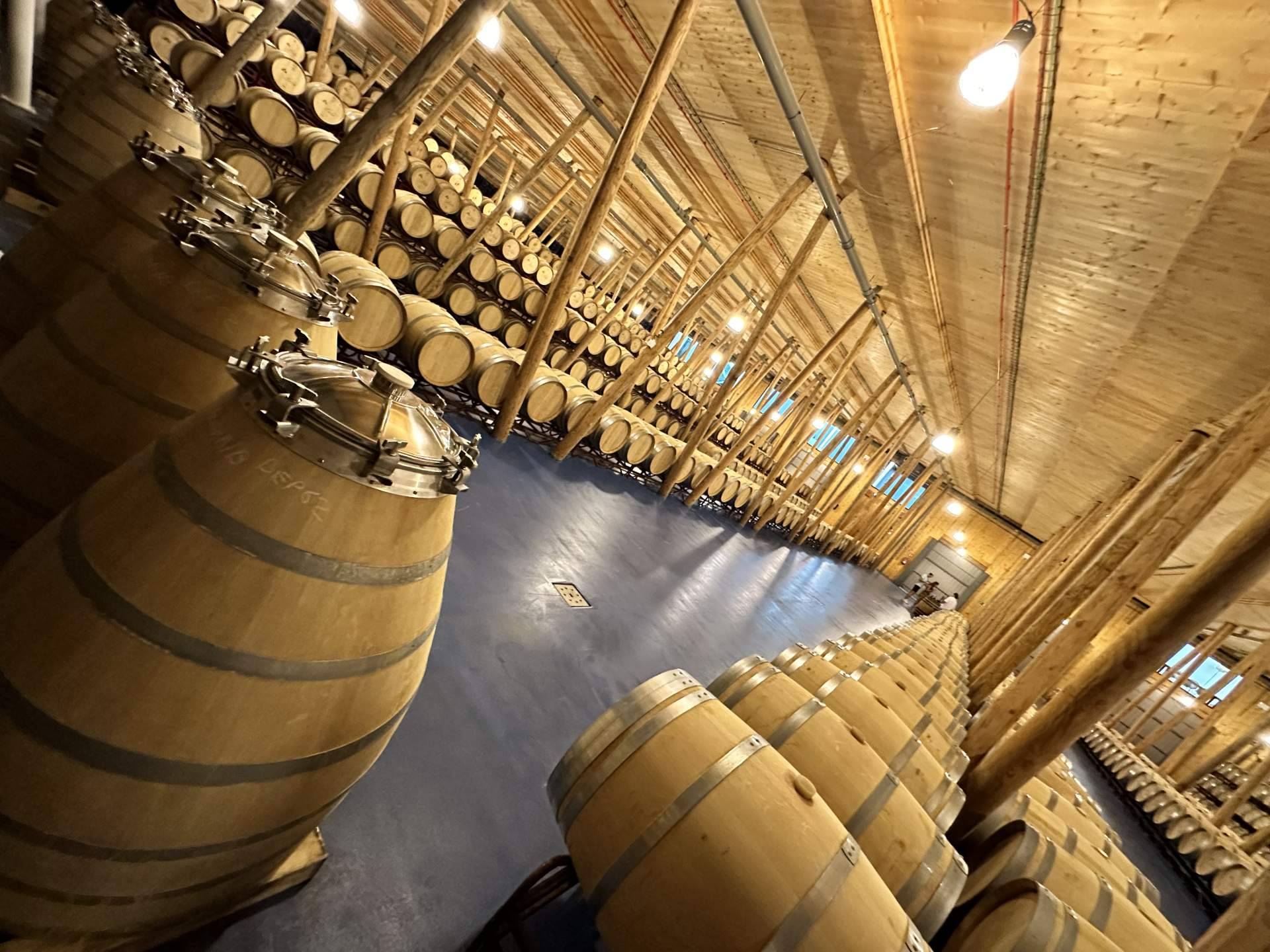 Is oak in wine as essential as salt on a steak? A question that shapes the wine experience