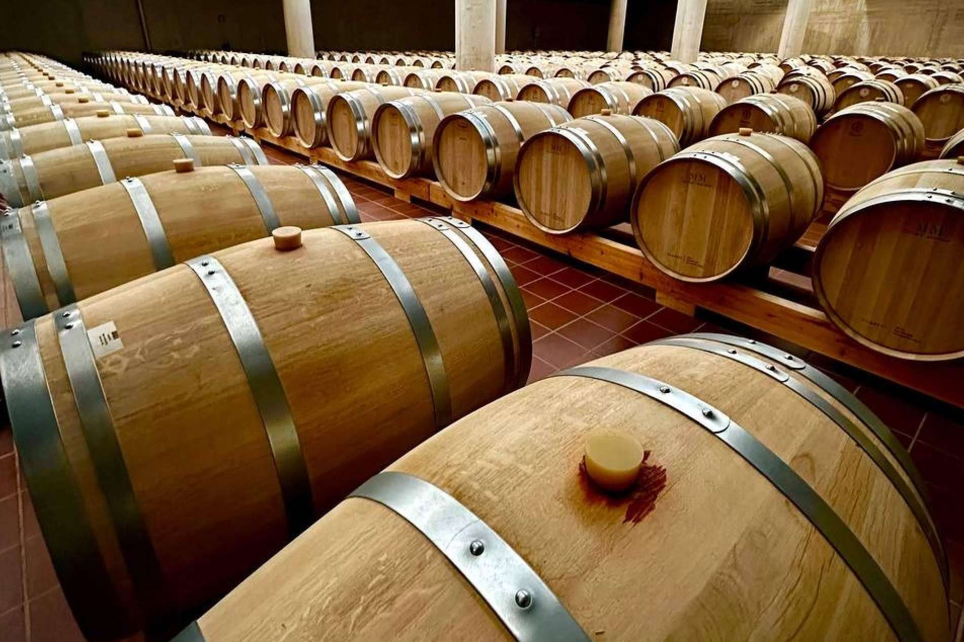 From vineyard to glass; 5 factors that influence the price of wine