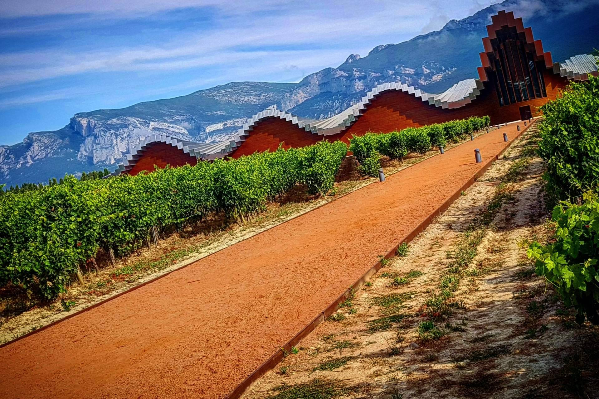 The difference between Ribera del Duero and Rioja; two wine worlds to explore from Madrid