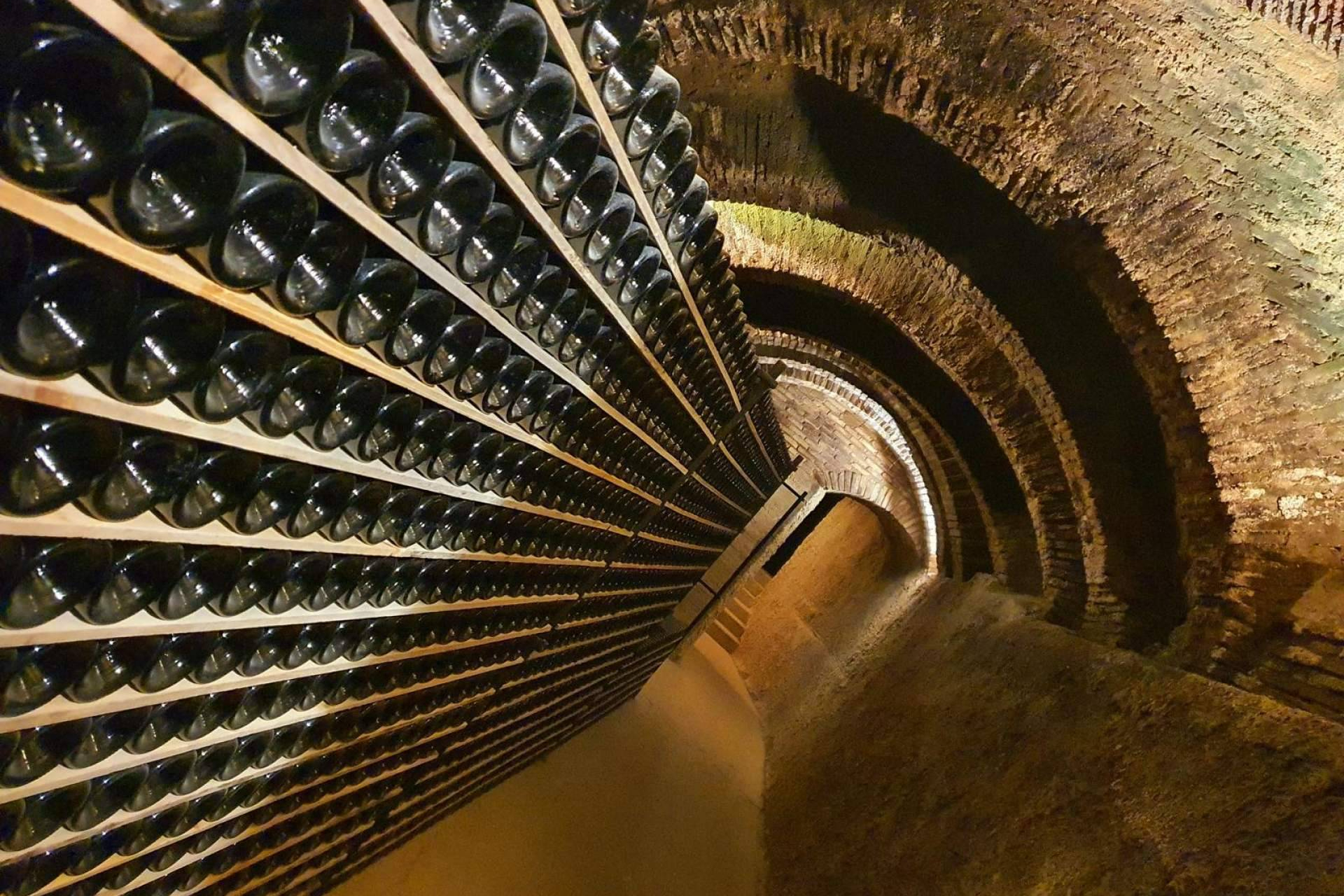 What is the best temperature to store wine in a cellar?