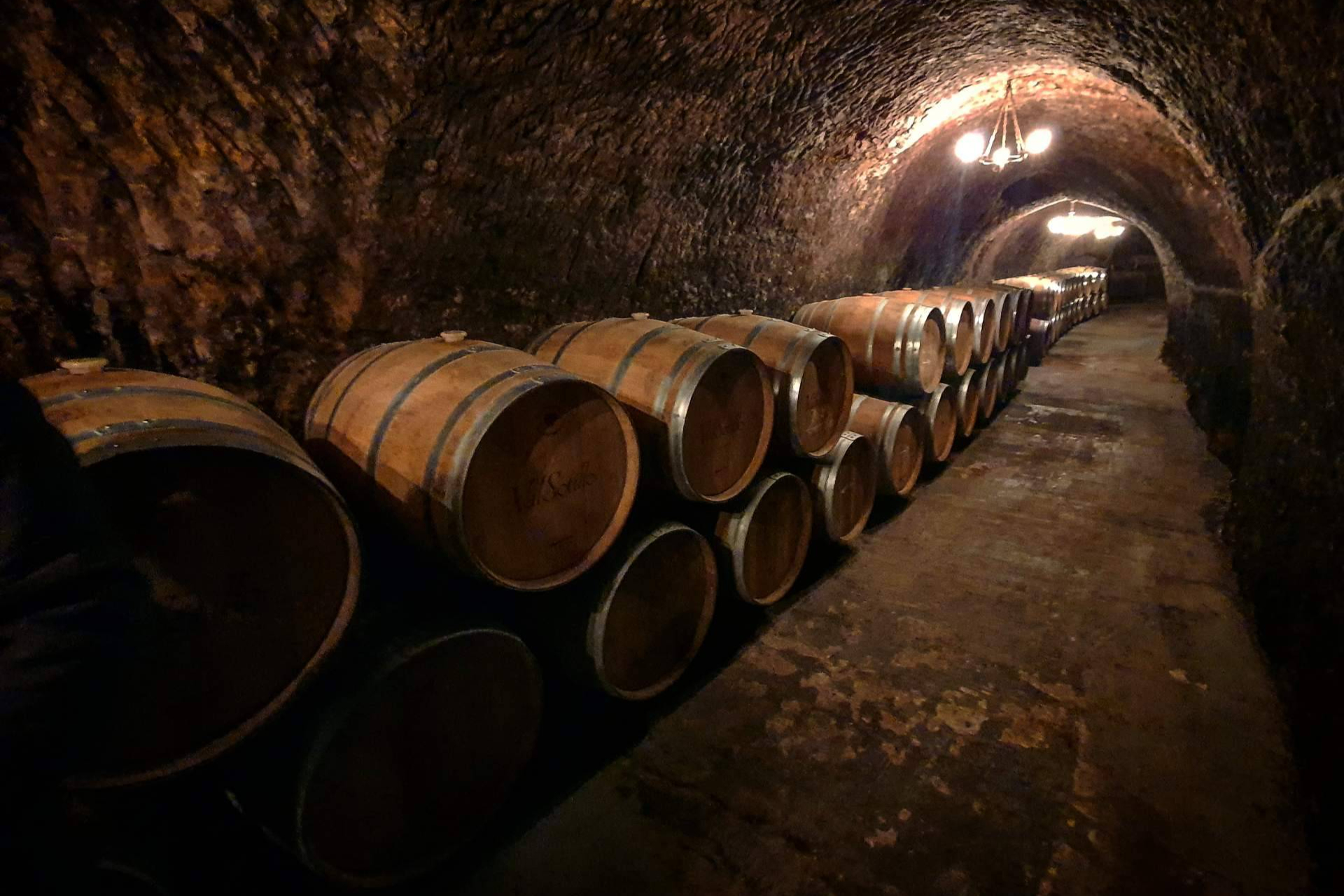Exploring oak in winemaking, French or American barrels and their impact on flavor