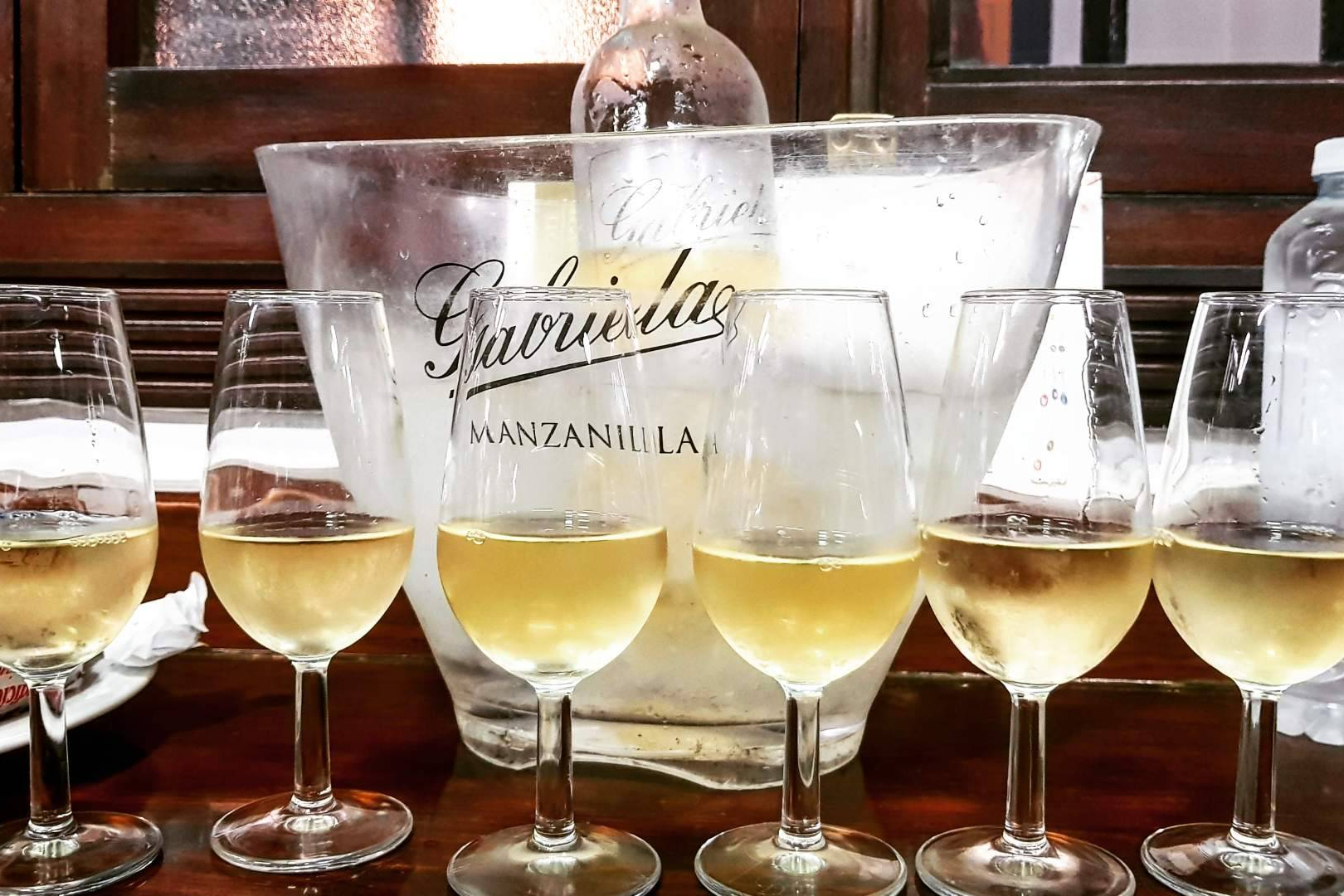 Wine consumption in the world, how global trends are shaping local wine experiences